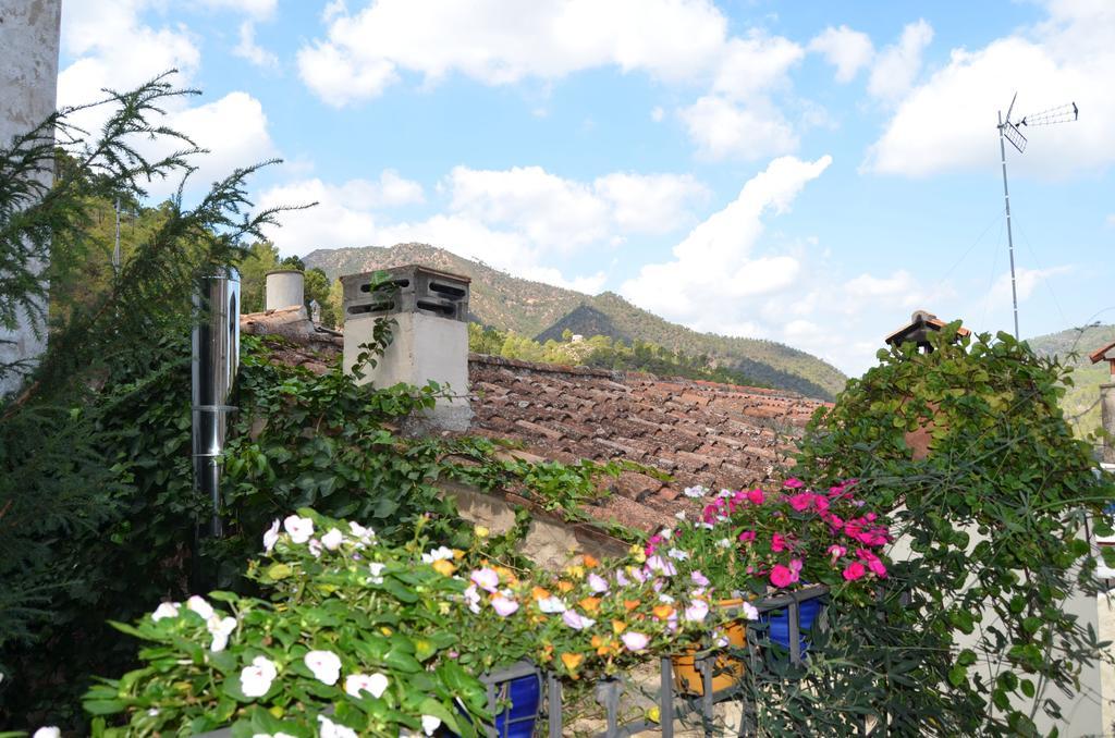 Eslida La Casa Del Teixゲストハウス 部屋 写真