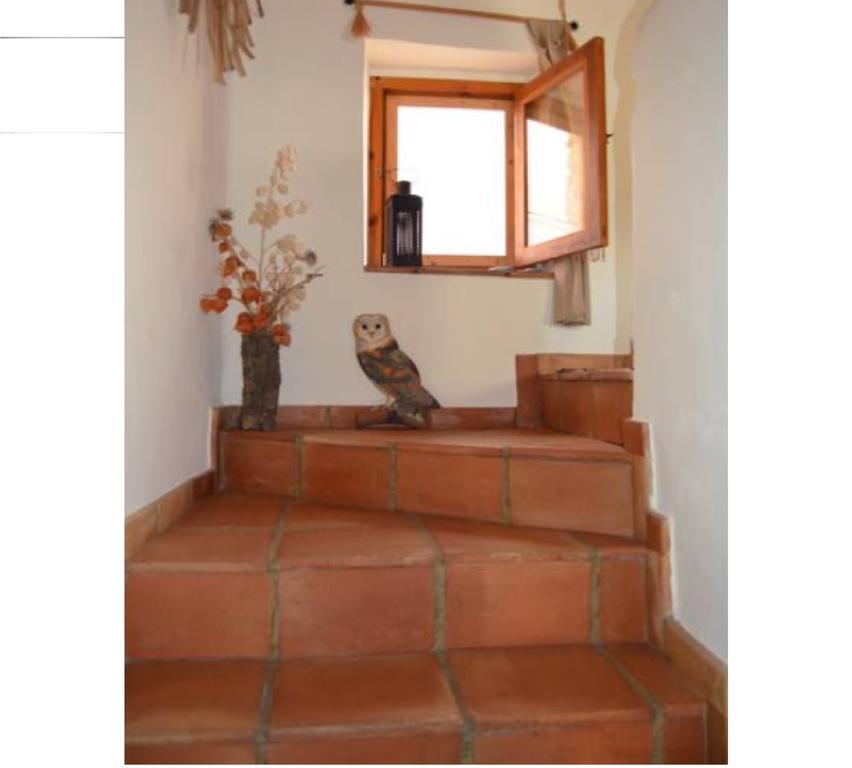 Eslida La Casa Del Teixゲストハウス 部屋 写真