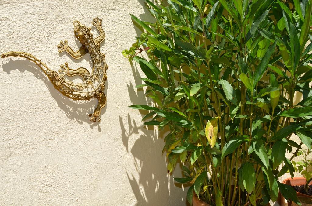 Eslida La Casa Del Teixゲストハウス エクステリア 写真